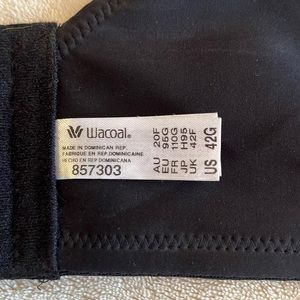 Wacoal bra size 42G
